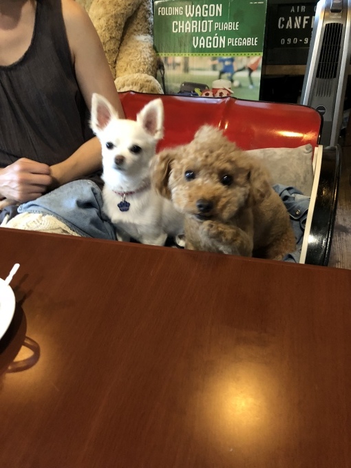 b0369239_13492173.jpeg