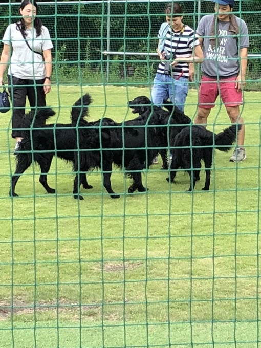 b0369239_13504067.jpeg