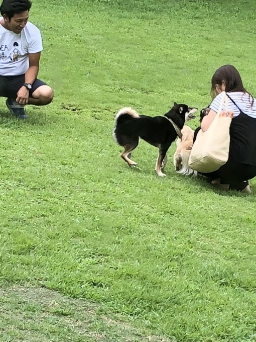 b0369239_13531020.jpeg