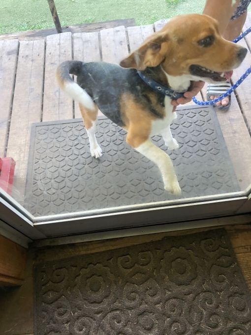 b0369239_13532615.jpeg