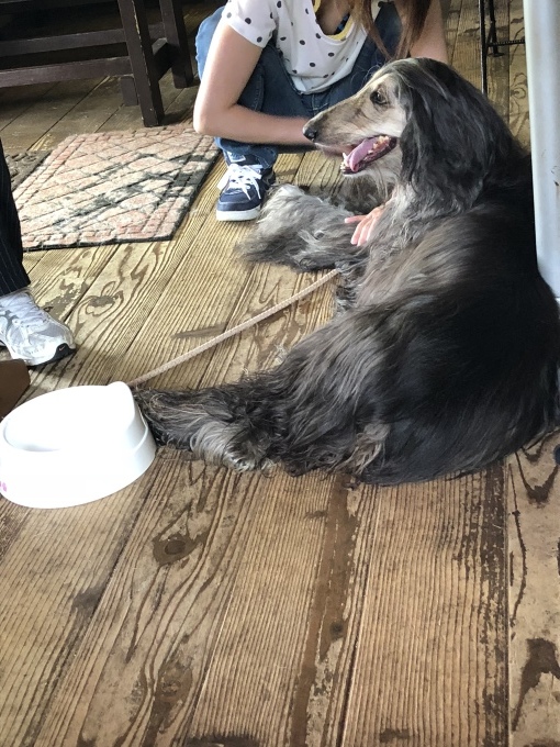 b0369239_13533949.jpeg