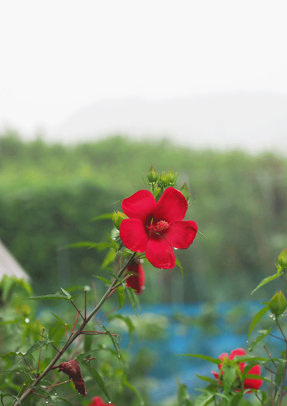d0290240_09301284.gif