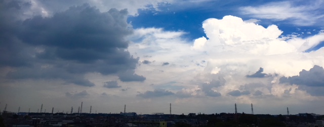 e0206242_1535514.jpg