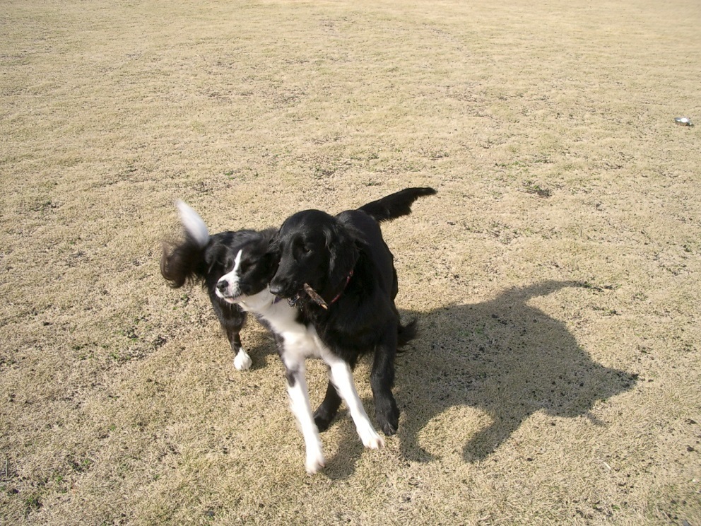 e0128144_05072090.jpg
