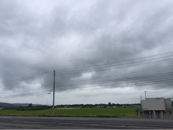 e0255945_22072700.gif