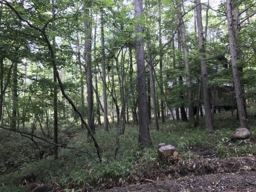 e0041047_06022227.jpg