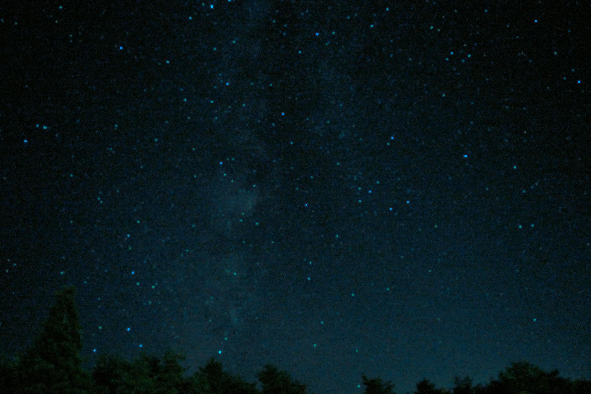 c0310548_23445429.jpg