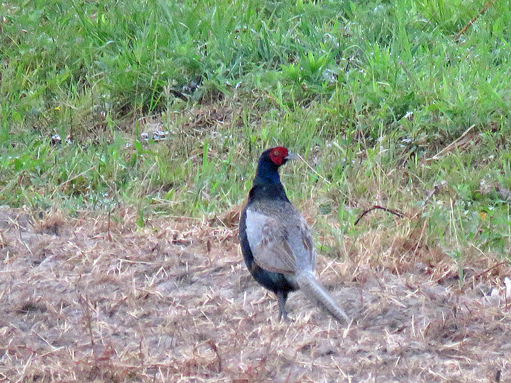 f0214649_05102020.jpg