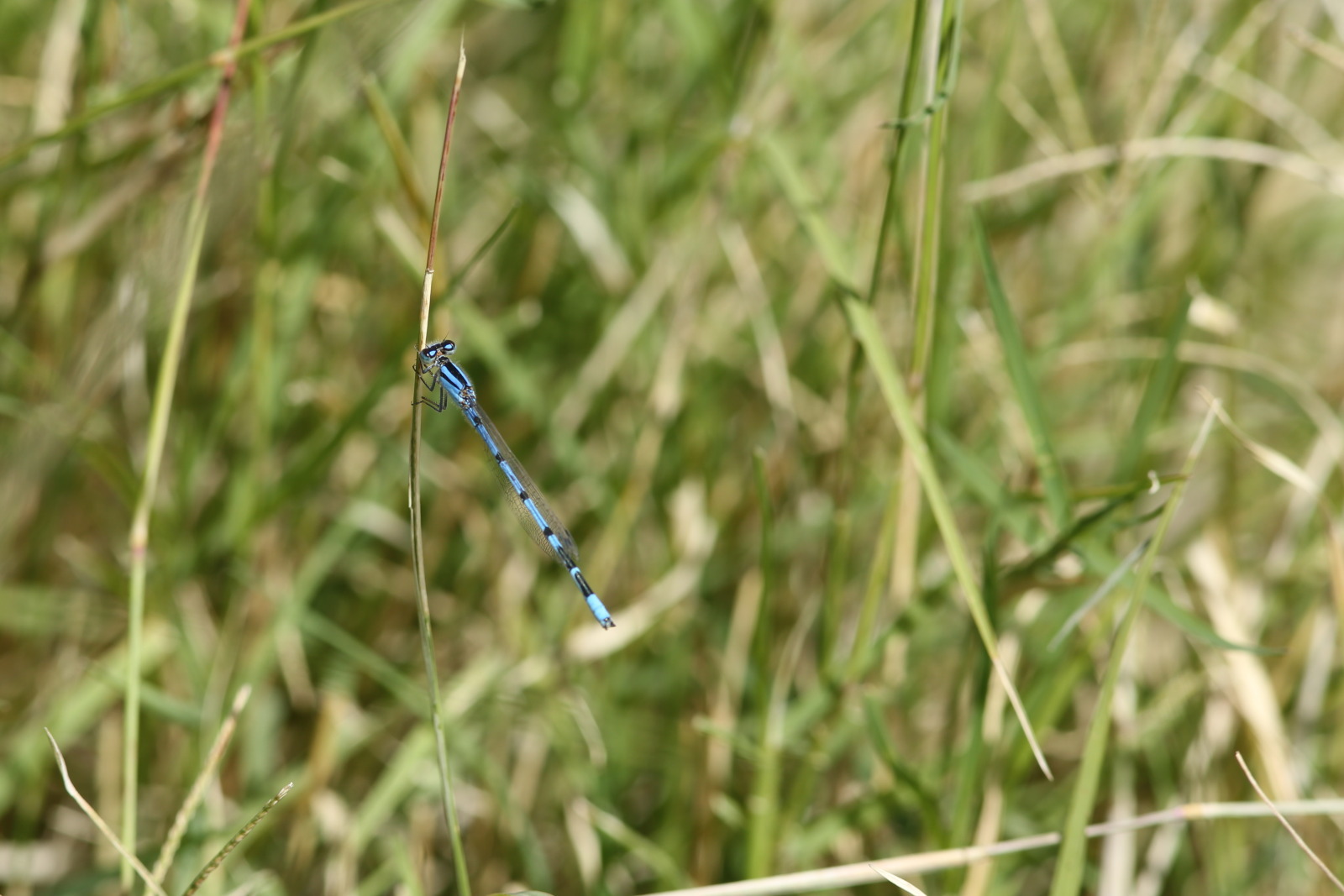 f0345350_01574709.jpg