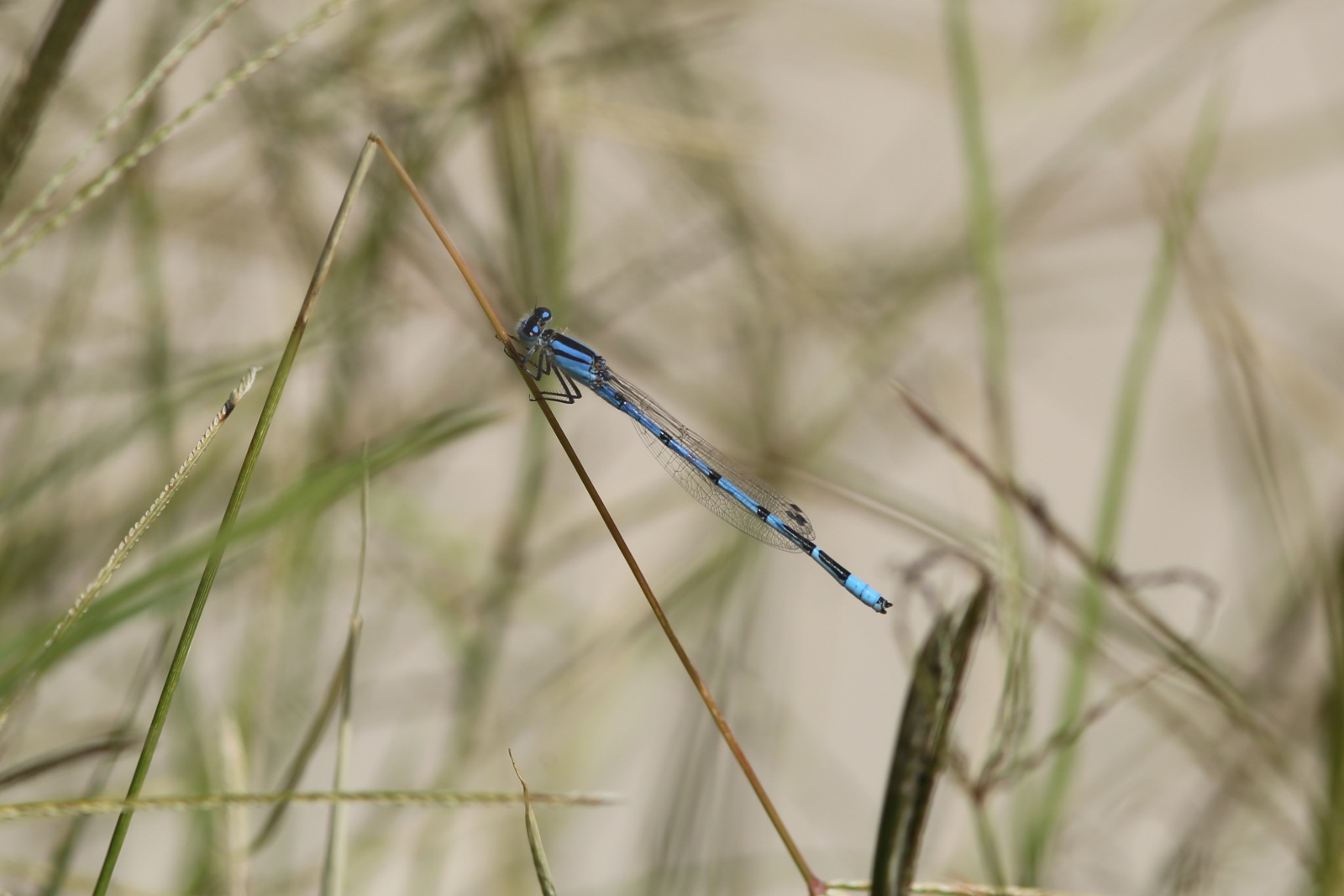 f0345350_01590817.jpg