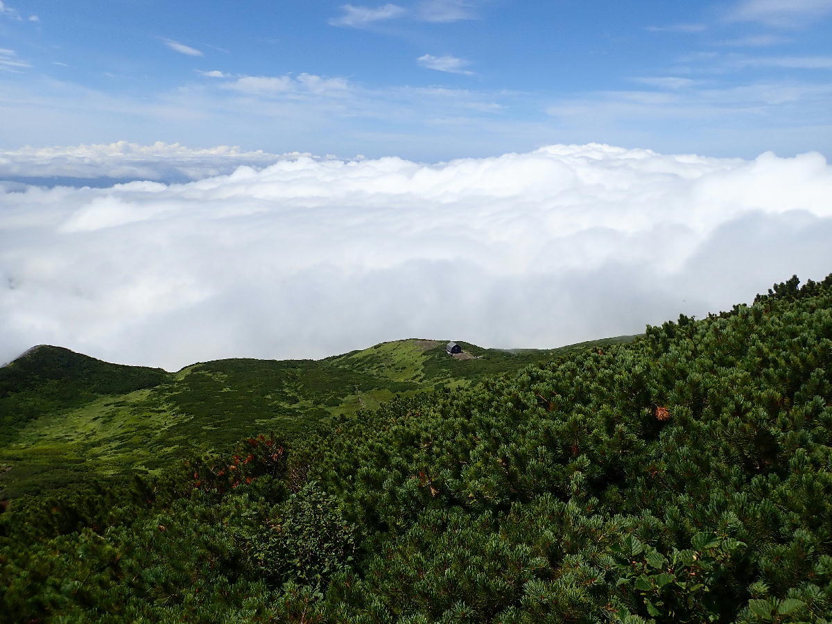 羊蹄山1898m(真狩)　2018.08.12_e0352951_08533844.jpg