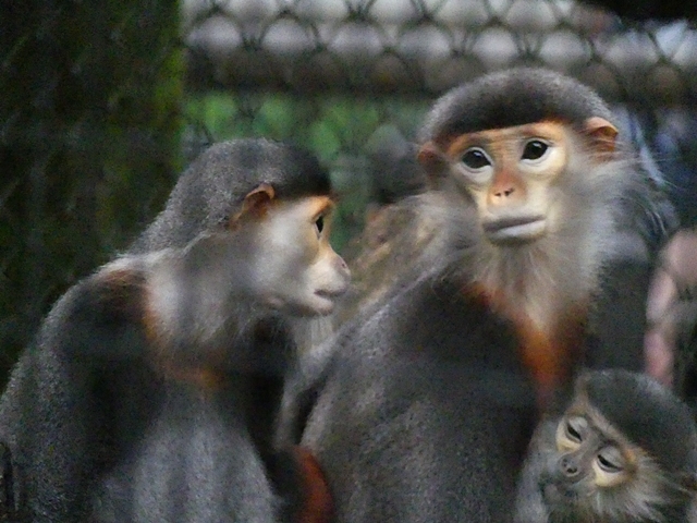 d0356852_10153569.jpg