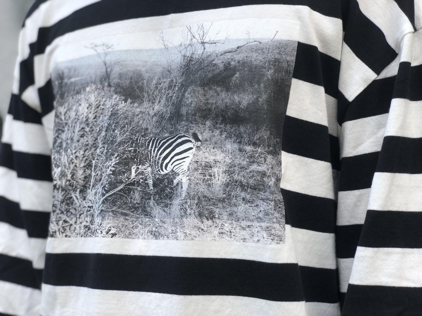 Lafayette × dee ZEBRA BORDER L/S TEE！！！_a0221253_16522273.jpeg