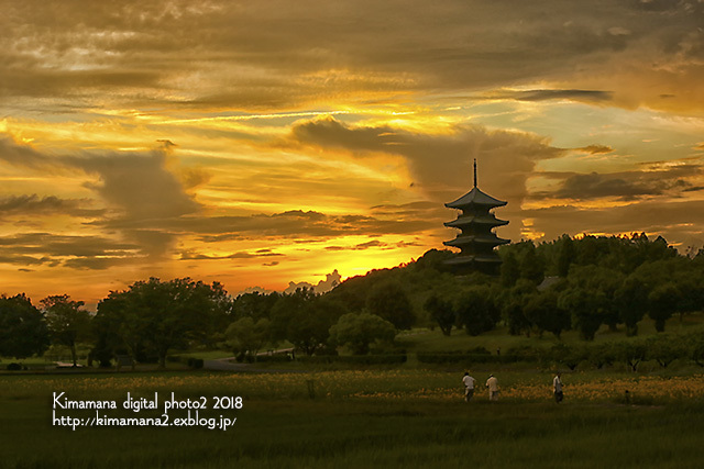 備中国分寺の夕景　8/12_f0324756_10243372.jpg