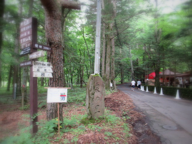 f0236260_12243116.jpg