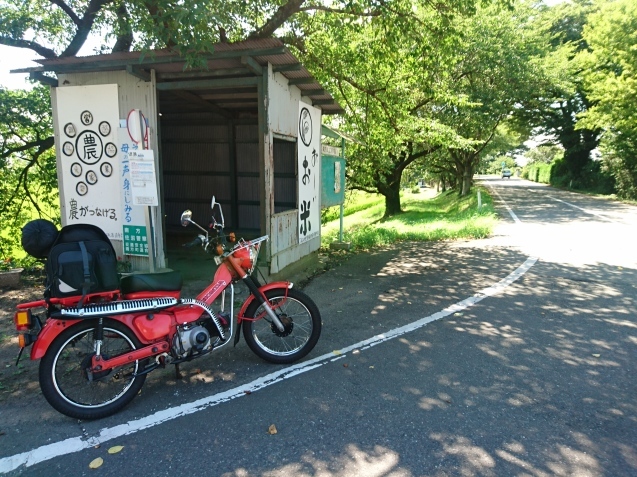 d0364962_18574995.jpg