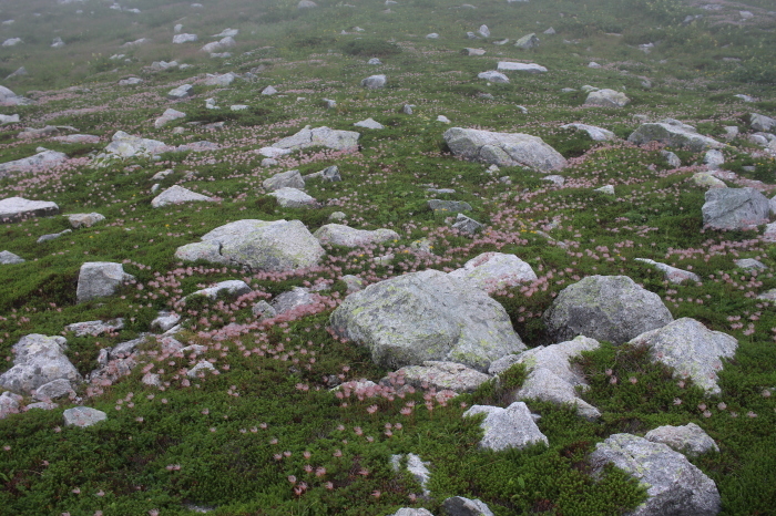 f0223068_12571263.jpg