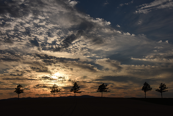 北海道の絶景!美瑛みたいな丘がある女満別空港そば大空町メルヘンの丘の夕暮れ時写真_e0171573_21595335.jpg