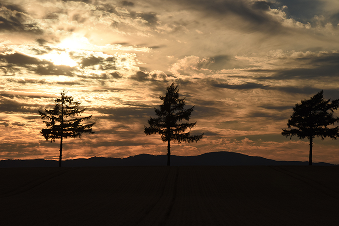 北海道の絶景!美瑛みたいな丘がある女満別空港そば大空町メルヘンの丘の夕暮れ時写真_e0171573_2203523.jpg