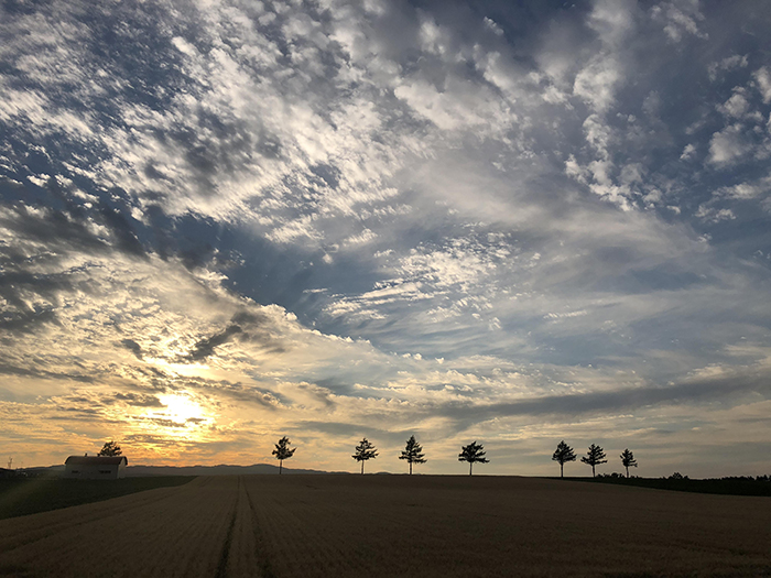 北海道の絶景!美瑛みたいな丘がある女満別空港そば大空町メルヘンの丘の夕暮れ時写真_e0171573_2204579.jpg