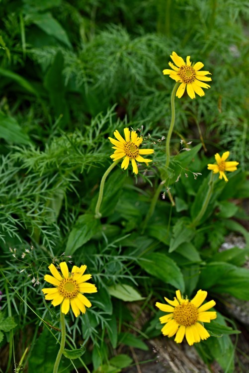 d0341880_07554194.jpg
