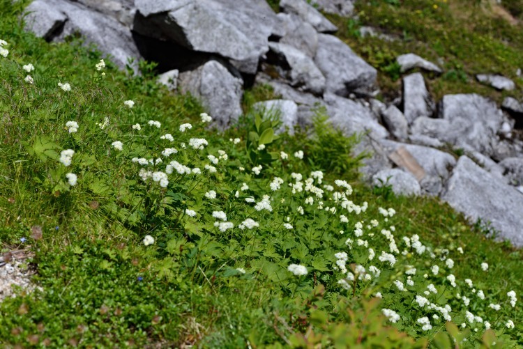 d0341880_07570738.jpg