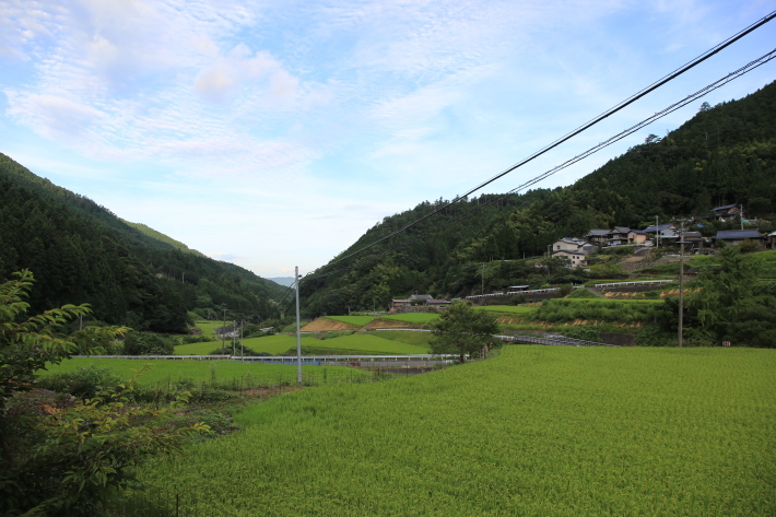 c0358784_12334718.jpg