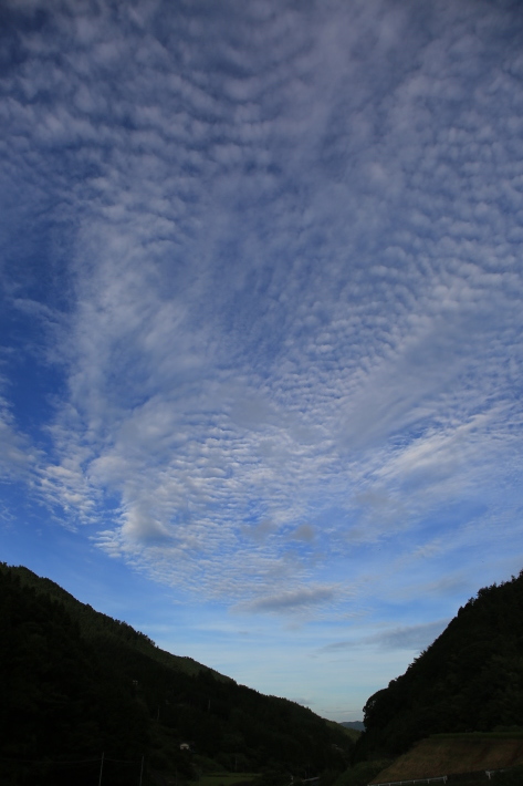 c0358784_12362325.jpg