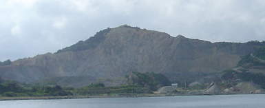 f0198787_21020677.png