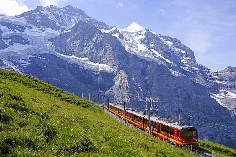 夏のユングフラウ鉄道 エーデルワイスphoto 夏のユングフラウ鉄道 エーデルワイスphoto