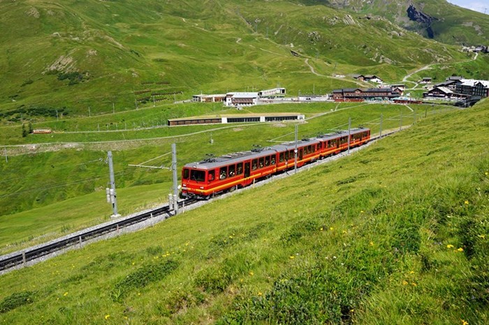 夏のユングフラウ鉄道 エーデルワイスphoto 夏のユングフラウ鉄道 エーデルワイスphoto
