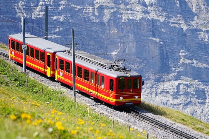 夏のユングフラウ鉄道 エーデルワイスphoto