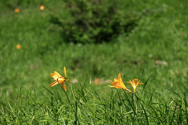 e0137200_16395581.jpg