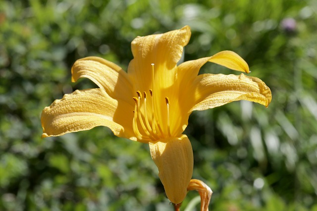 e0137200_1642173.jpg
