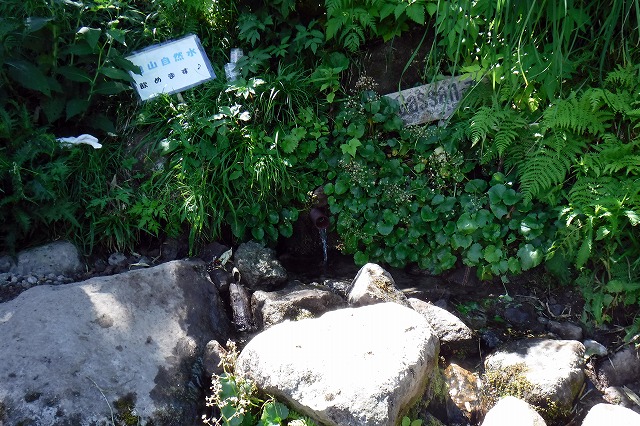 e0137200_16463327.jpg