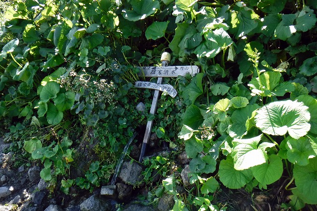 e0137200_16465843.jpg