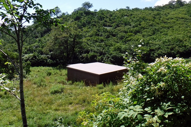 e0137200_1647983.jpg