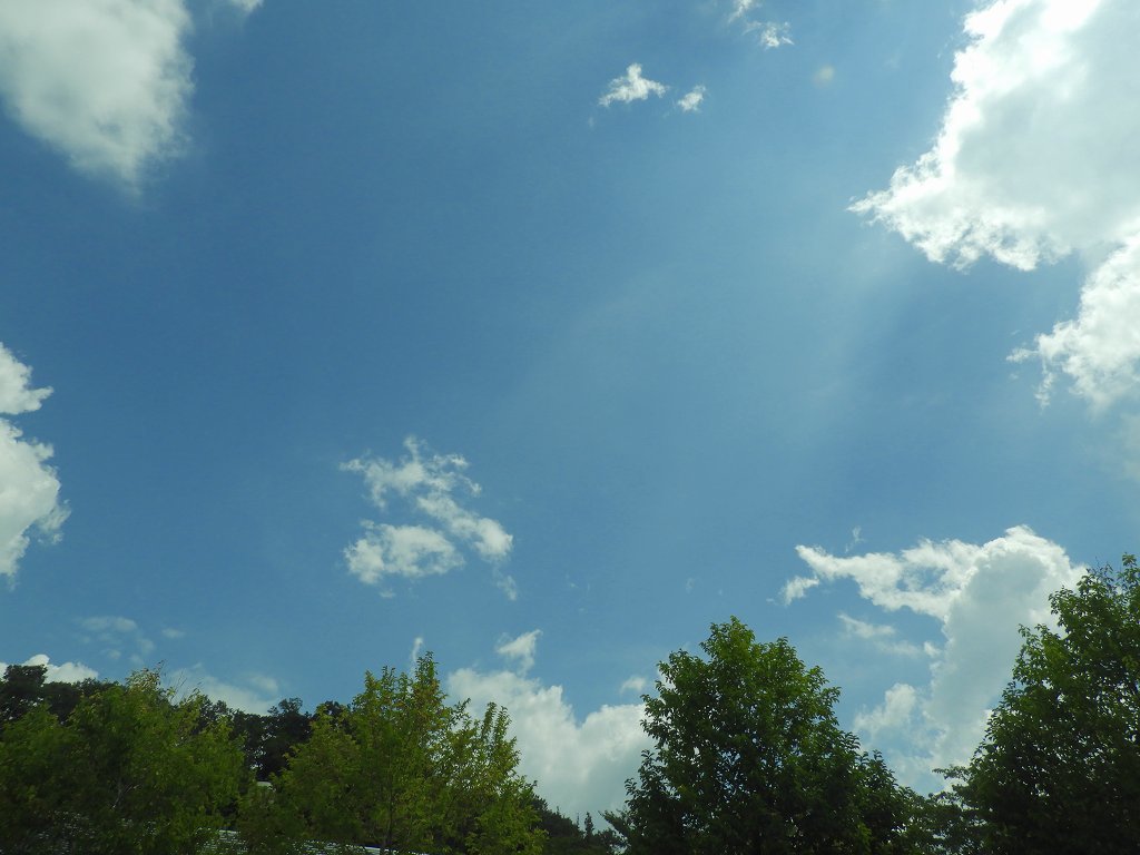 晴れ雨晴れ雨 写真撮り隊の今日の一枚2 晴れ雨晴れ雨 写真撮り隊の今日の一枚2