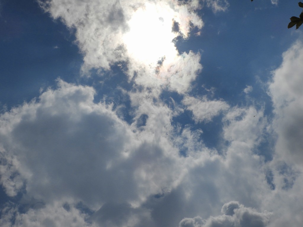 晴れ雨晴れ雨 写真撮り隊の今日の一枚2 晴れ雨晴れ雨 写真撮り隊の今日の一枚2
