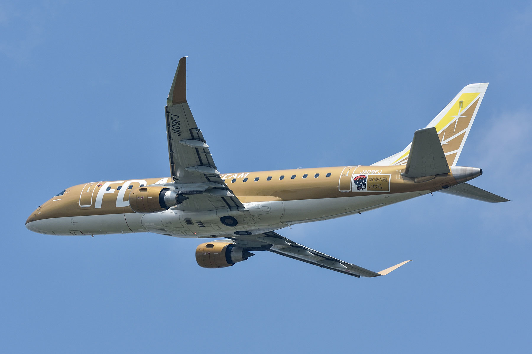 FDA ERJ-175 JA09FJ Gold 航空機・ヘリコプター
