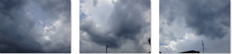 f0231709_18112783.gif