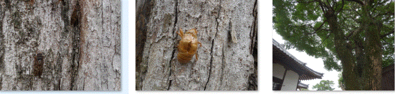 f0231709_18131776.gif