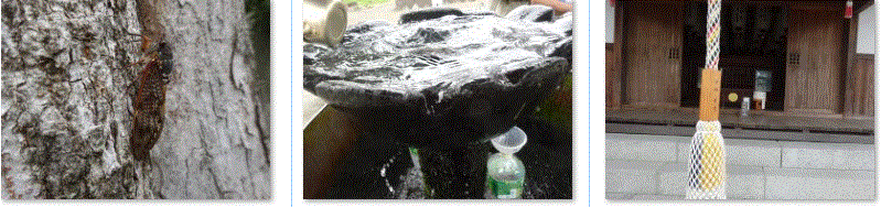 f0231709_18141819.gif