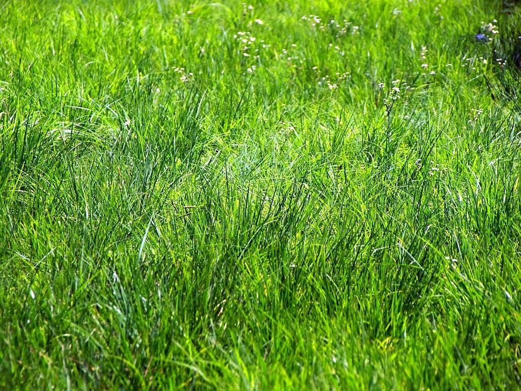 e0364711_23360265.jpg