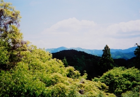 a0332314_11035641.jpg