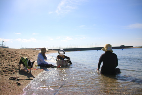 d0377714_12225373.jpeg