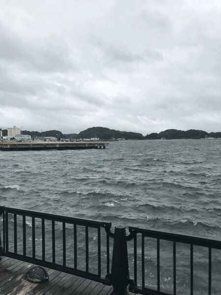 d0339617_18364095.gif