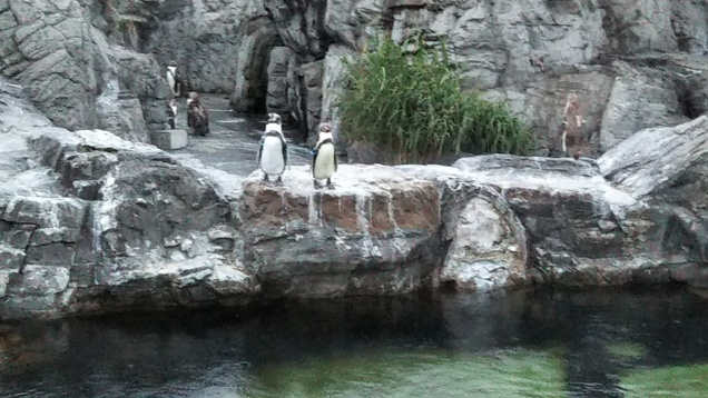 e0047322_13302489.jpg