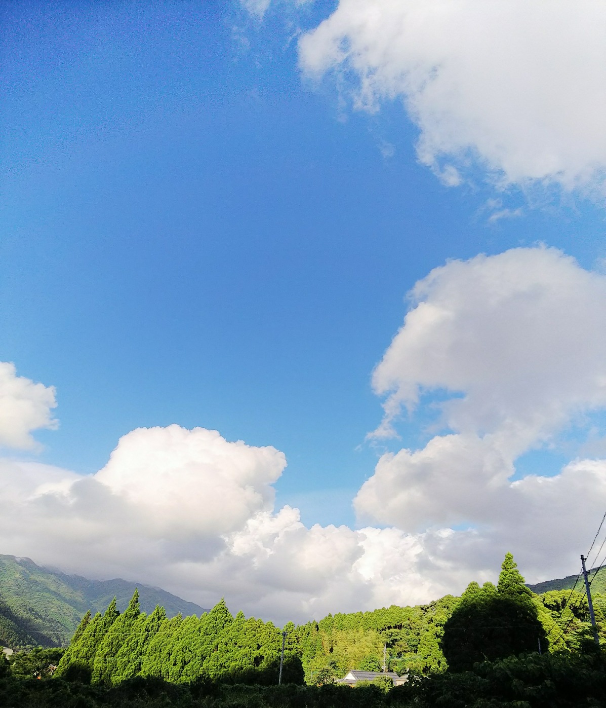 f0050625_22103227.jpg