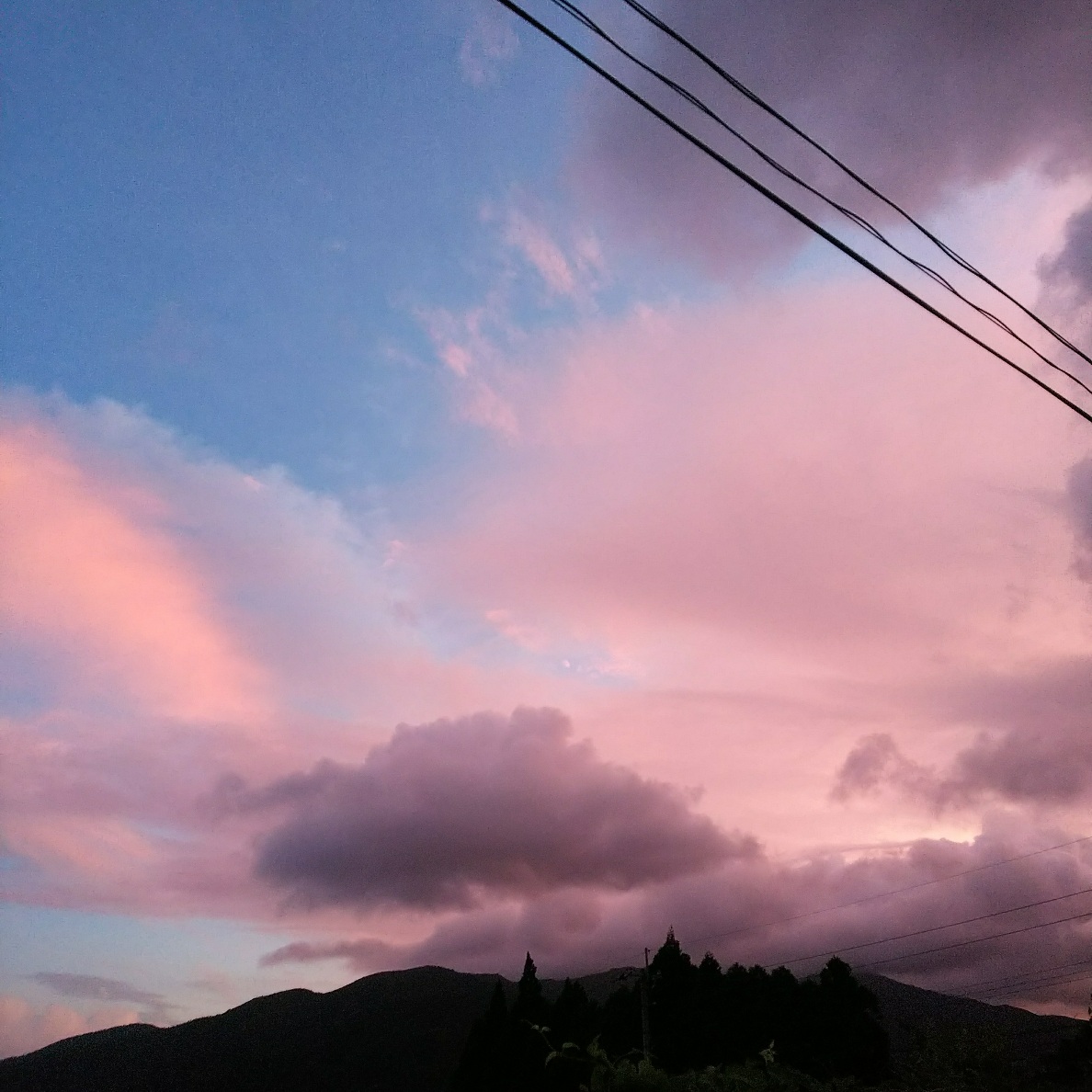 f0050625_22103359.jpg
